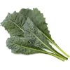 Click & Grow Smart Refill Italian Kale 3pcs