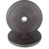 Svara disks ECO BUMPER PLATES QUEEN  PROUD : 20kg