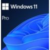 Microsoft Windows 11 Pro ENG OEM