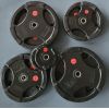 Svaru disks Prove 30mm 2,5kg