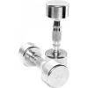 Toorx chromed dumbbell 4kg