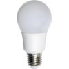 LIGHT BULB LED E27 3000K 10W/1000LM A60 21110 LEDURO