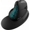 Wireless Ergonomic Mouse Delux M618XSD BT+2.4G RGB