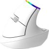 Wireless Vertical Mouse Delux M618C 2.4G 1600DPI RGB (white)