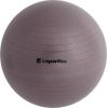 Vingrošanas bumba + sūknis inSPORTline Top Ball 45cm - Grey