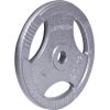 Tērauda atsvars satvērējam 30mm inSPORTline Hamerton 20kg