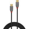 CABLE USB2 TYPE C 3M/ANTHRA 36873 LINDY