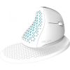 Wireless Ergonomic Mouse Delux M618XSD BT+2.4G RGB (white)