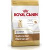 ROYAL CANIN SHN Breed Labrador Junior dry dog food - 12 kg