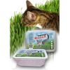 Certech 10319 pet grass seed Cat