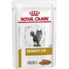 ROYAL CANIN Urinary S/O Wet cat food Chunks in sauce 12x85 g