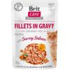 BRIT Care Fillets in Gravy salmon fillets in sauce - wet cat food - 85 g