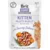 BRIT Care Fillets in Jelly salmon fillets - wet kitten food - 85 g