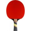 Excell Carbon 2000 Cornilleau Galda tenisa rakete Galda teniss