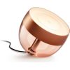 Philips Hue Iris Portable lamp, Copper special edition