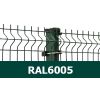 PAN 1,73*2,5M 50*200/5RAL6005 Žogi