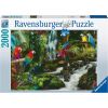 Ravensburger Jigsaw Puzzle, Colorful Parrots in the Jungle (2000 pieces)