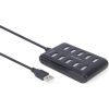 Gembird UHB-U2P10P-01 10-port USB 2.0 hub, black