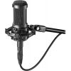 Audio Technica AT2050 Condenser Microphone black - Switchable polar patterns