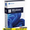 Microsoft MS ESD Windows Professional N 11 64-bit All Languages Online Product Key License 1 License Downloadable ESD NR