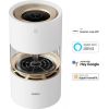 Xiaomi Smartmi Rainforest Humidifier