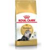 Royal Canin Persian Adult karma sucha dla kotów dorosłych rasy perskiej 2 kg