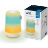 WiZ Mobile Portable Light, LED Light (White)