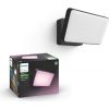 Philips HUE white & color Ambiance Discover floodlight, LED light (black)
