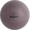 Vingrošanas bumba + sūknis inSPORTline Top Ball 75cm - Grey