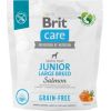 Dry food for young dog (3 months - 2 years), large breeds over 25 kg - Brit Care Dog Grain-Free Junior Large salmon 1kg