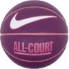 Nike Everyday All Court 8P Ball N1004369-507 (7)