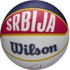 Wilson NBA Player Local Nikola Jokic ball for basket WZ4006701XB (7)