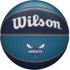 Wilson NBA Team Charlotte Hornets Ball WTB1300XBCHA basketball (7)