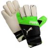 Vārtsargu cimdi Puma Evo Power Grip 2.3 GC M 041223 32 - 10