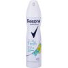 Rexona  Rexona Motionsense Stay Fresh 48h Antyperspirant 150ml