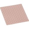 Thermal Grizzly Minus Pad 8 - 30 x 30 x 1.0 mm