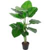 Zaļš augs POTHOS, H90cm