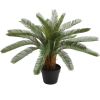 Mâkslîgs augs CYCAS H70cm, melns puíupods