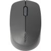 Mouse Rapoo M100 Silent (18199)