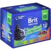 BRIT Premium Cat Sterilised Plate - wet cat food - 12x100g