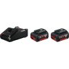 Bosch 2x GBA 18V 4.0Ah + GAL 18V-40 - 1600A019S0