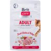 BRIT Care Grain Free Activity Support Adult - dry cat food - 400 g