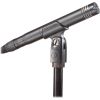 Audio Technica AT2031 Condenser Microphone black - Cardioid condenser microphone