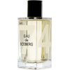 Iceberg EDT 100 ml