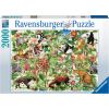 Ravensburger Puzzle 2000 pc Jungle