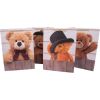 Gift bag TEDDY, 31x42x12cm, mix