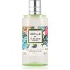 L'Occitane Herbae Gentle Shower Gel 250ml