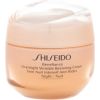 Shiseido Benefiance / Overnight Wrinkle Resisting Cream 50ml