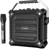 Bezvadu skaļrunis W-KING K3H 100W
