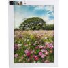 Foto glezna 50x70cm MEADOW